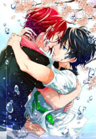 Cover 24396