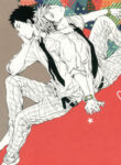 Cover 24414