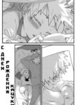 Cover 24420