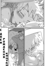 Cover 24420