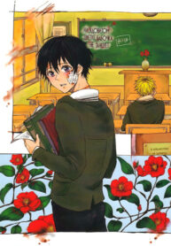 Cover 24434