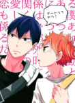 Cover 24454