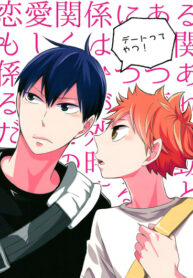 Cover 24454