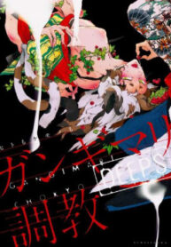Cover 24458