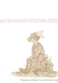 Cover 24462