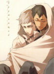 Cover 24480