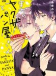 Cover 24494