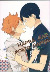 Cover 24504