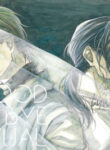 Cover 24510