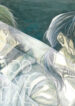 Cover 24510
