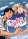 Cover 24528