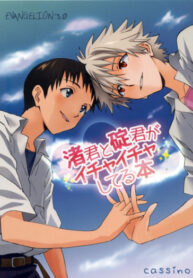 Cover 24528