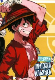 Cover 24530