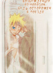 Cover 24532