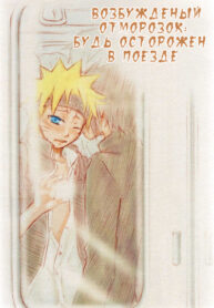 Cover 24532