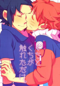 Cover 24538