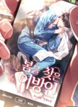 Cover 24542