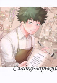 Cover 24544