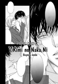 Cover 24546
