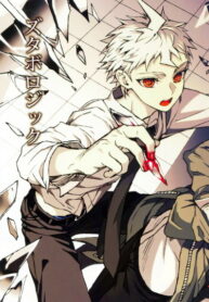 Cover 24550
