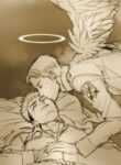 Cover 24554