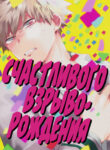 Cover 24560