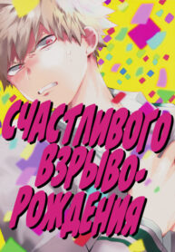 Cover 24560