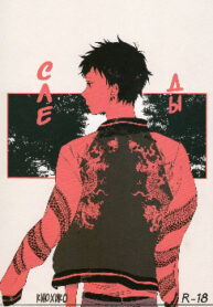 Cover 24566