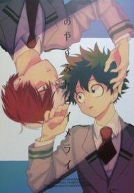 Cover 24576