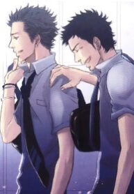 Cover 24582