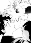 Cover 24598