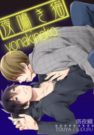 Cover 24600