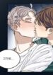 Cover 24630