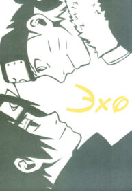 Cover 24650