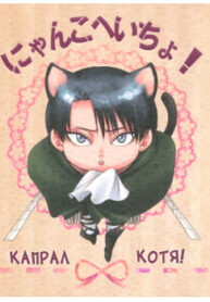 Cover 24658