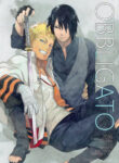 Cover 24688