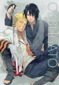 Cover 24688