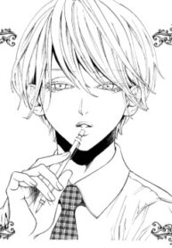 Cover 24696