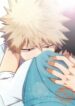 Cover 24706