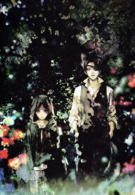 Cover 24720