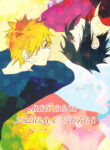 Cover 24726