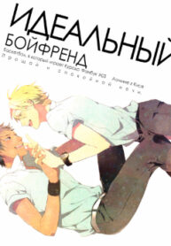 Cover 24730