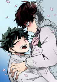 Cover 24768