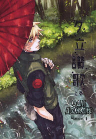 Cover 24774