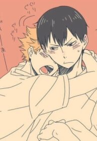 Cover 24810