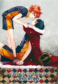 Cover 24820