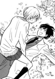 Cover 24830