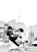 Cover 24866
