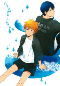 Cover 24872