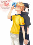 Cover 24910